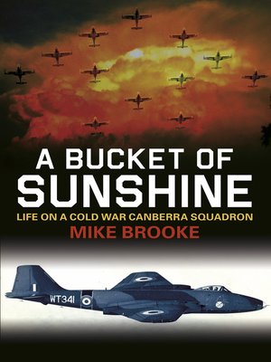cover image of A Bucket of Sunshine